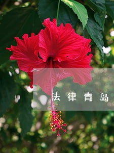 法律青岛出版社中国妇女出版社 法律青岛出版社中国妇女出版社