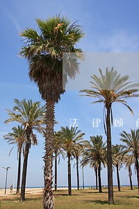 法律顾问一年多少钱武汉 法律顾问一年多少钱武汉