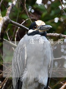 法律顾问一年多少钱沈阳 法律顾问一年多少钱沈阳