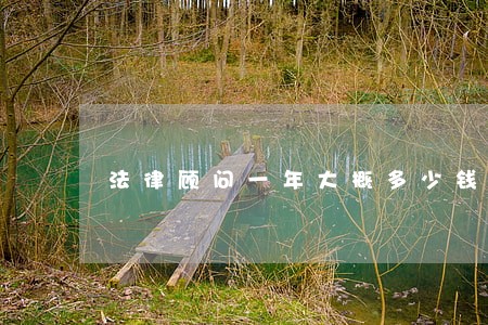 法律顾问一年大概多少钱 法律顾问一年大概多少钱