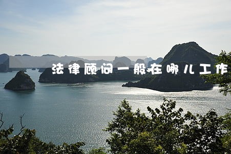 法律顾问一般在哪儿工作 法律顾问一般在哪儿工作