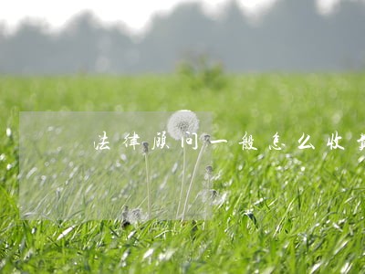 法律顾问一般怎么收费的 法律顾问一般怎么收费的