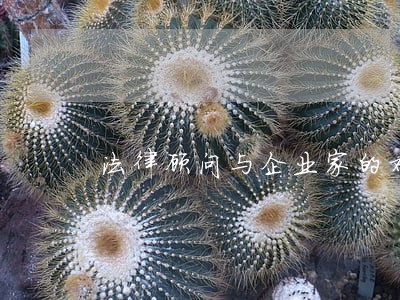 法律顾问与企业家的对话