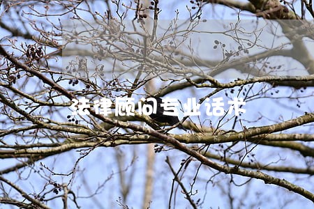 法律顾问专业话术 法律顾问专业话术