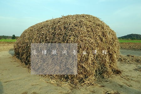 法律顾问专业课程 法律顾问专业课程