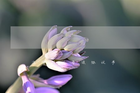 法律顾问专项协议书 法律顾问专项协议书