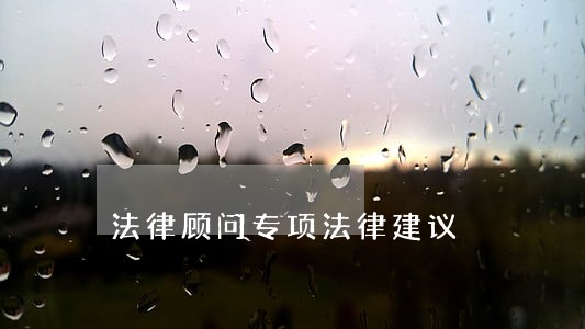 法律顾问专项法律建议 法律顾问专项法律建议