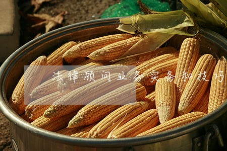法律顾问业务实务和技巧 法律顾问业务实务和技巧