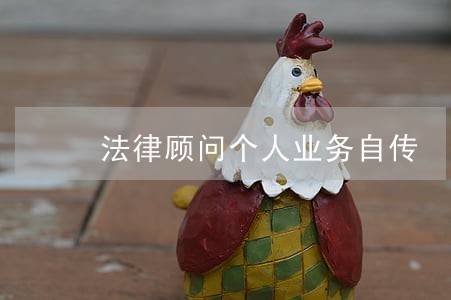 法律顾问个人业务自传 法律顾问个人业务自传