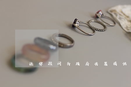 法律顾问为政府决策提供咨询