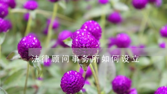 法律顾问事务所如何设立 法律顾问事务所如何设立