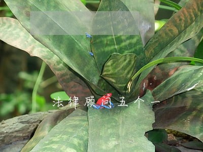 法律顾问五个一 法律顾问五个一