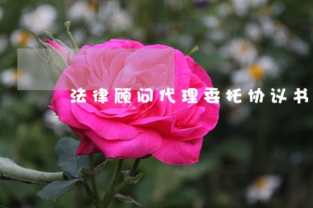 法律顾问代理委托协议书 法律顾问代理委托协议书