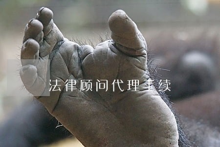 法律顾问代理手续 法律顾问代理手续