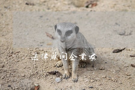法律顾问企业家 法律顾问企业家