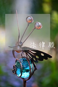 法律顾问作用发挥充分 法律顾问作用发挥充分