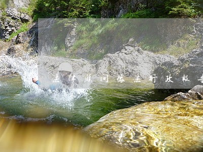 法律顾问依法行政报告 法律顾问依法行政报告