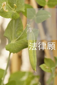 法律顾问催缴物业费 法律顾问催缴物业费