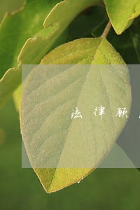 法律顾问入村法治讲座