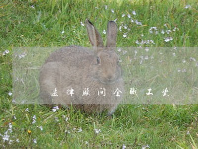 法律顾问全职工资 法律顾问全职工资