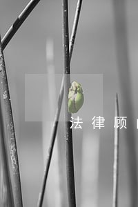 法律顾问公共法律服务 法律顾问公共法律服务