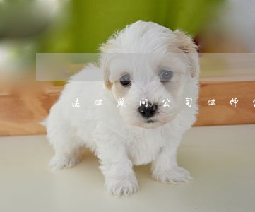 法律顾问公司律师公职律师 法律顾问公司律师公职律师