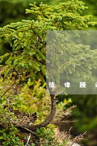 法律顾问公益讲座函 法律顾问公益讲座函