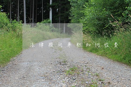 法律顾问兼职如何收费 法律顾问兼职如何收费