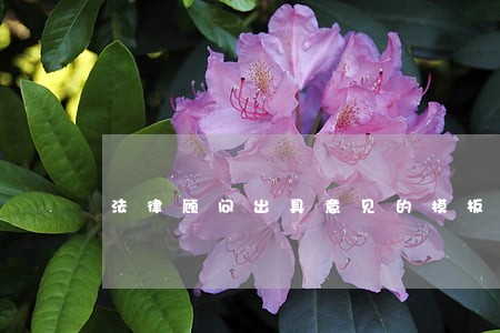 法律顾问出具意见的模板 法律顾问出具意见的模板