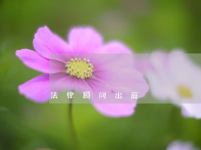 法律顾问出庭 法律顾问出庭