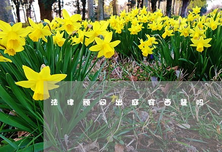 法律顾问出庭穿西装吗