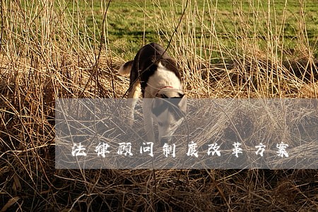 法律顾问制度改革方案 法律顾问制度改革方案