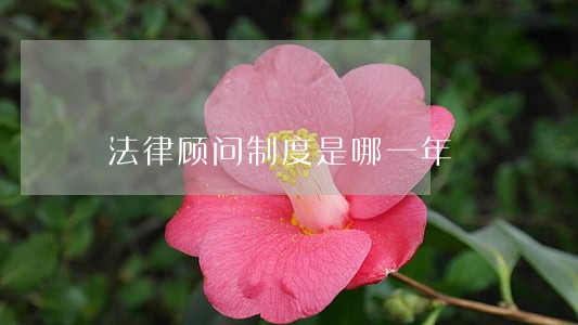 法律顾问制度是哪一年 法律顾问制度是哪一年