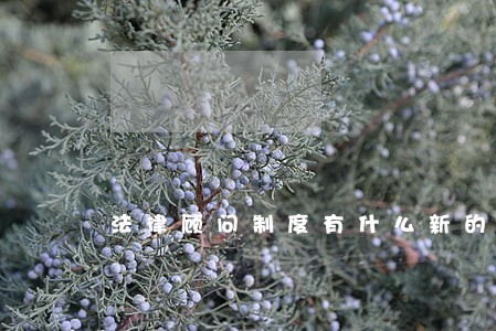 法律顾问制度有什么新的举措 法律顾问制度有什么新的举措