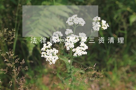 法律顾问助力三资清理 法律顾问助力三资清理