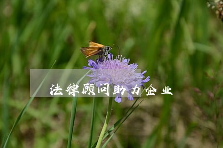法律顾问助力企业 法律顾问助力企业
