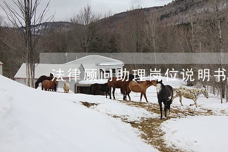 法律顾问助理岗位说明书 法律顾问助理岗位说明书