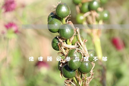 法律顾问参与度不够 法律顾问参与度不够