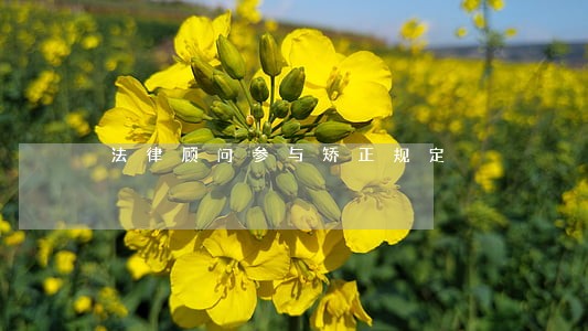法律顾问参与矫正规定 法律顾问参与矫正规定