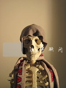 法律顾问参与社会治理 法律顾问参与社会治理