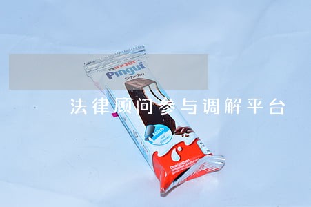 法律顾问参与调解平台 法律顾问参与调解平台
