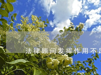 法律顾问发挥作用不足 法律顾问发挥作用不足