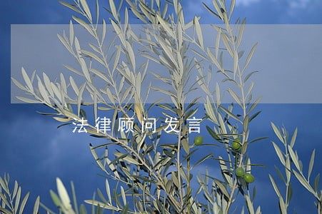 法律顾问发言 法律顾问发言