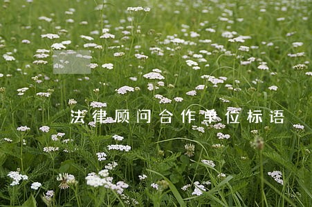 法律顾问合作单位标语 法律顾问合作单位标语