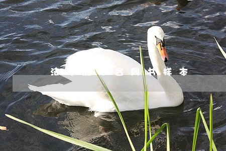 法律顾问合同书样本 法律顾问合同书样本