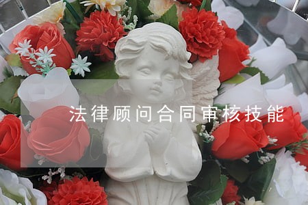 法律顾问合同审核技能 法律顾问合同审核技能