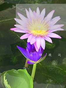 法律顾问合同属签 法律顾问合同属签