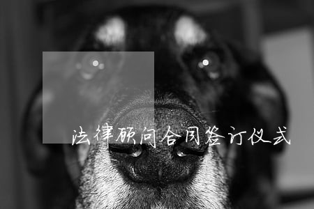法律顾问合同签订仪式