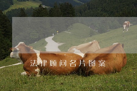 法律顾问名片图案 法律顾问名片图案