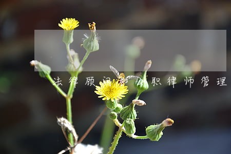 法律顾问和公职律师管理制度 法律顾问和公职律师管理制度